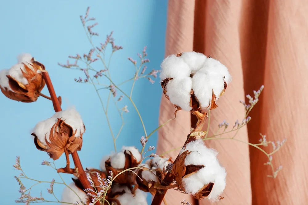 Tìm hiểu đặc điểm và ứng dụng của sợi cotton 100% tự nhiên