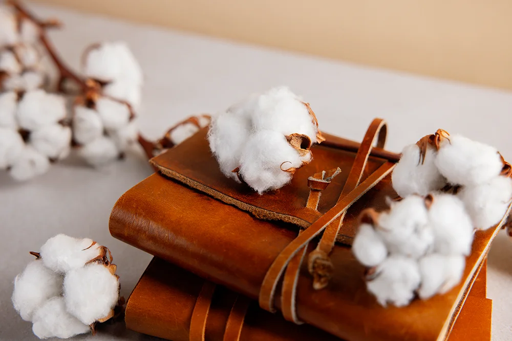 Tìm hiểu nguồn gốc, đặc điểm và ứng dụng của sợi cotton Ai Cập